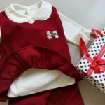 ❤️ست بلوز شلوار و سارافن ترانه❤️ ارسال 23 الا 25 آذر - Image 9