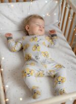 سرهمی های جورابدار ببر طوسی - Image 2